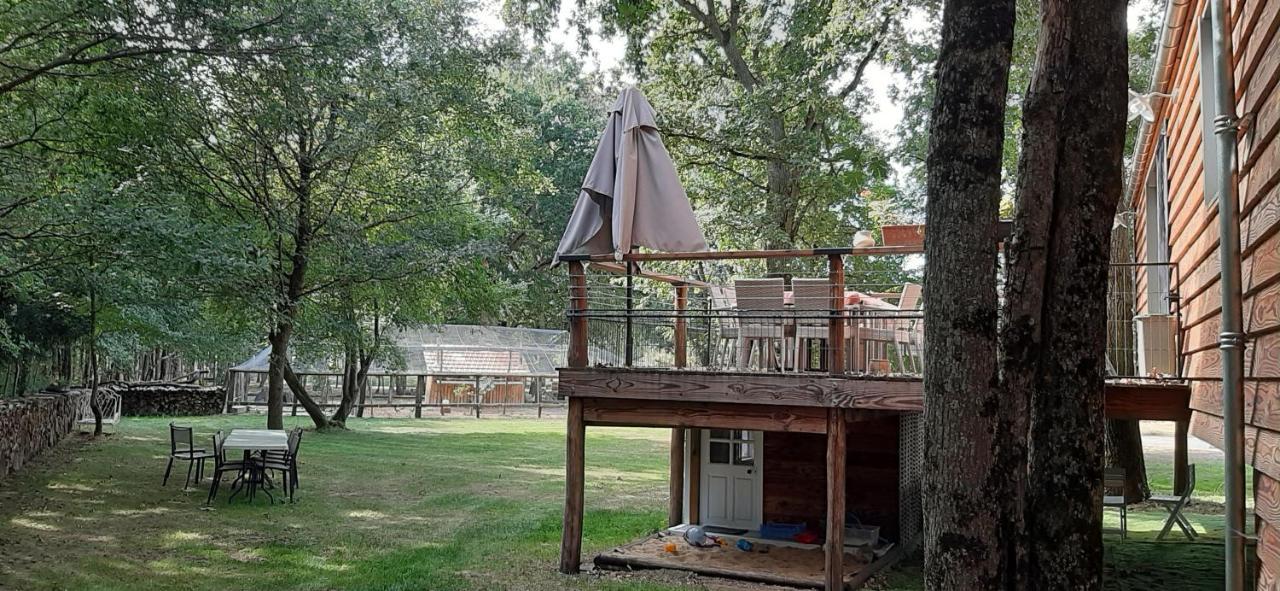 Colibri Loc - Insolite - 3 Etoiles - Parc - Etang - Familles - Soiree Ok Brigne Εξωτερικό φωτογραφία