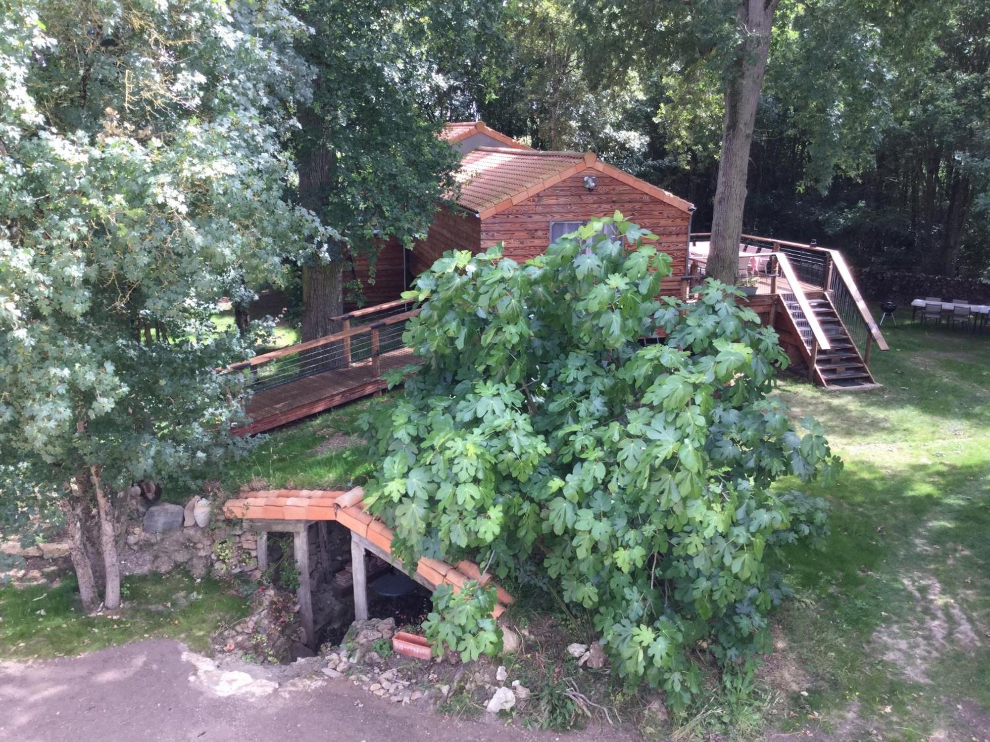 Colibri Loc - Insolite - 3 Etoiles - Parc - Etang - Familles - Soiree Ok Brigne Εξωτερικό φωτογραφία